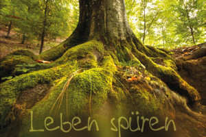 Selfness statt Wellness